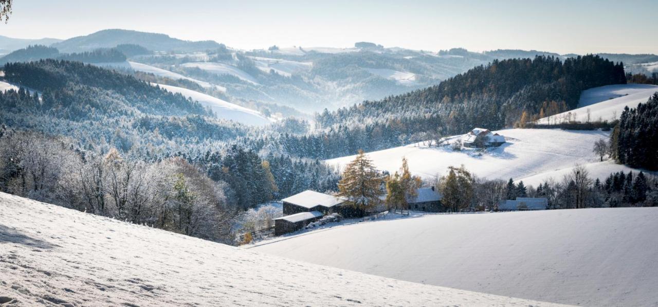 Vitalzeit Hotel Weber Bad Schönau Dış mekan fotoğraf